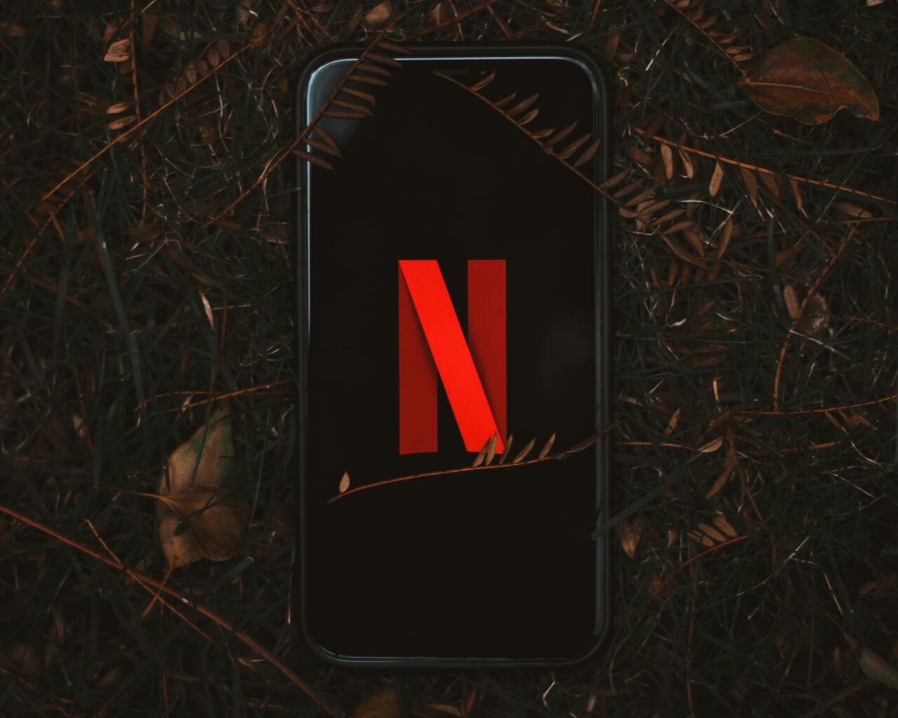 Celular no chão com o logo vermelho da Netflix exibido na tela, cercado por folhas secas